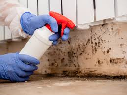 Best Crawl Space Mold Remediation  in Woodburn, OR